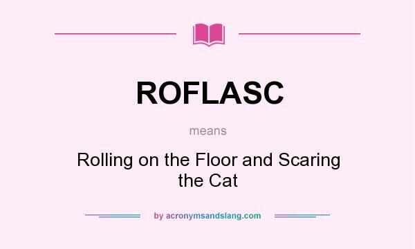 What does ROFLASC mean? It stands for Rolling on the Floor and Scaring the Cat