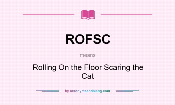 What does ROFSC mean? It stands for Rolling On the Floor Scaring the Cat