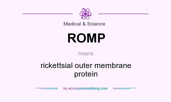 What does ROMP mean? It stands for rickettsial outer membrane protein