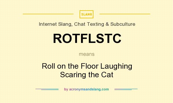 What does ROTFLSTC mean? It stands for Roll on the Floor Laughing Scaring the Cat