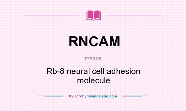 What does RNCAM mean? It stands for Rb-8 neural cell adhesion molecule