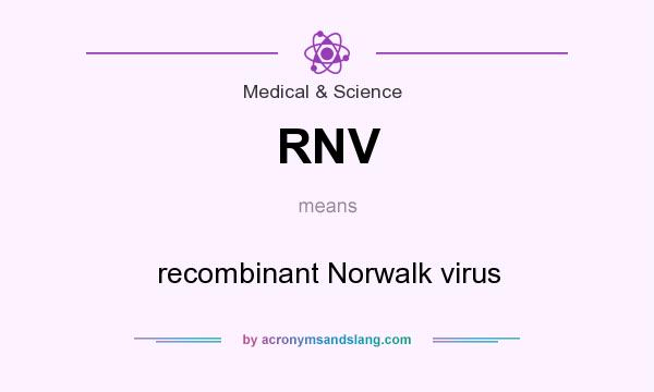 What does RNV mean? It stands for recombinant Norwalk virus