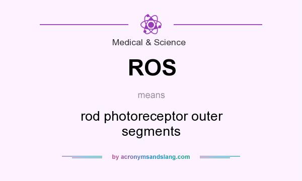 What does ROS mean? It stands for rod photoreceptor outer segments
