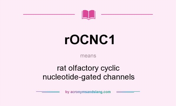 What does rOCNC1 mean? It stands for rat olfactory cyclic nucleotide-gated channels