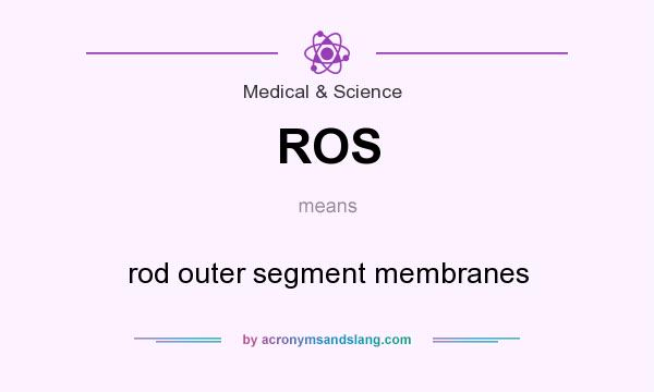 What does ROS mean? It stands for rod outer segment membranes