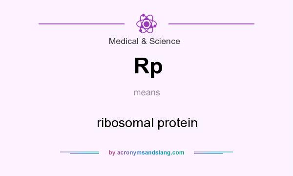What does Rp mean? It stands for ribosomal protein