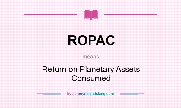 What does ROPAC mean? It stands for Return on Planetary Assets Consumed