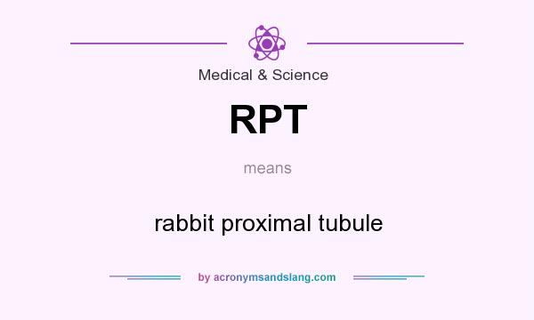 What does RPT mean? It stands for rabbit proximal tubule