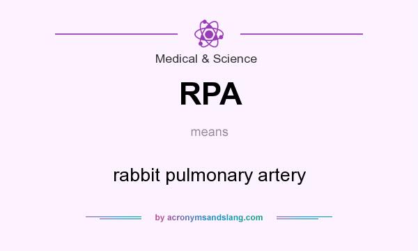 What does RPA mean? It stands for rabbit pulmonary artery