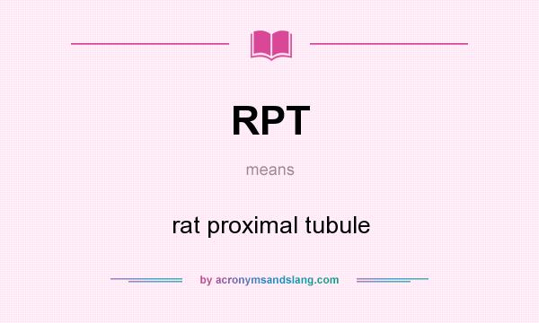 What does RPT mean? It stands for rat proximal tubule