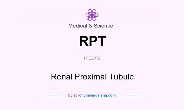 What does RPT mean? It stands for Renal Proximal Tubule