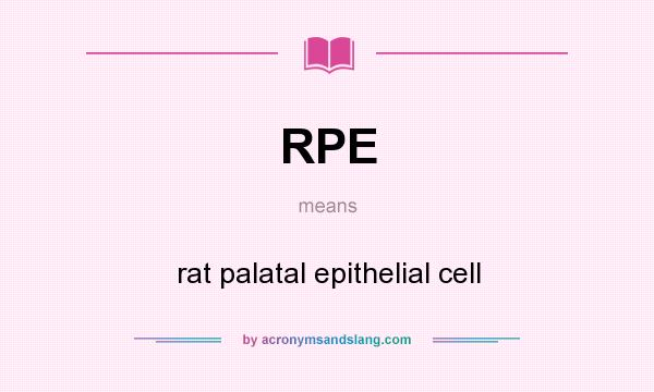 What does RPE mean? It stands for rat palatal epithelial cell