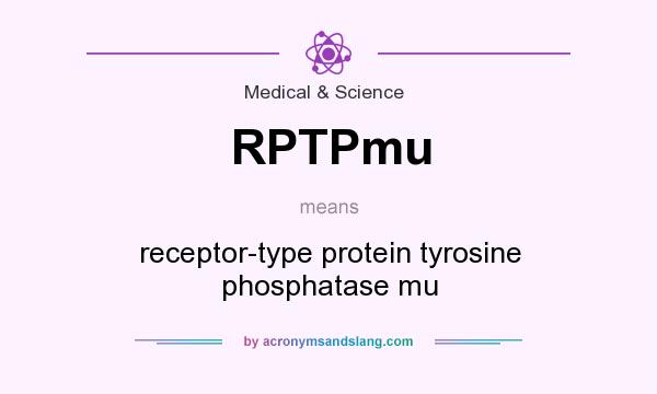 What does RPTPmu mean? It stands for receptor-type protein tyrosine phosphatase mu