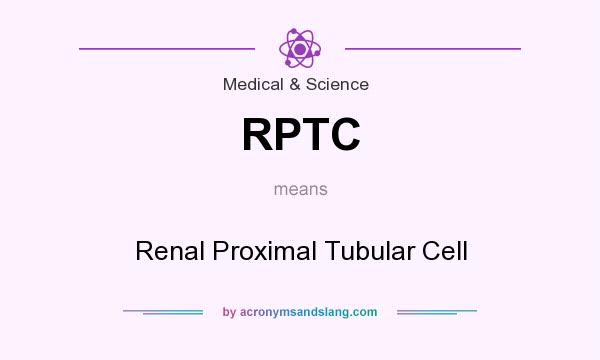 What does RPTC mean? It stands for Renal Proximal Tubular Cell