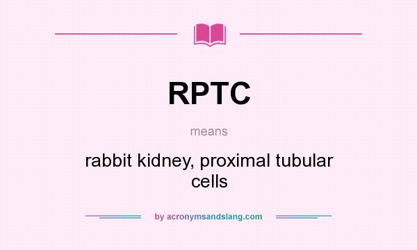 What does RPTC mean? It stands for rabbit kidney, proximal tubular cells