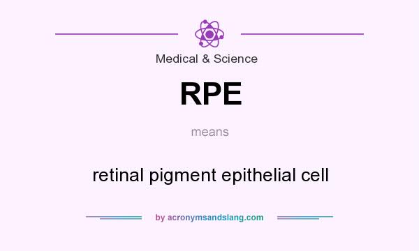 What does RPE mean? It stands for retinal pigment epithelial cell