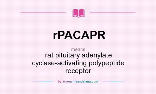What does rPACAPR mean? It stands for rat pituitary adenylate cyclase-activating polypeptide receptor