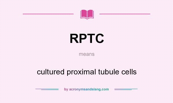 What does RPTC mean? It stands for cultured proximal tubule cells