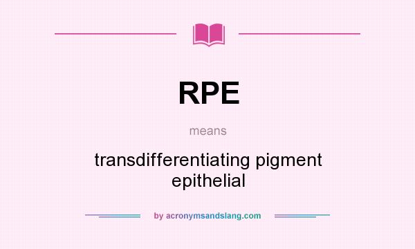 What does RPE mean? It stands for transdifferentiating pigment epithelial