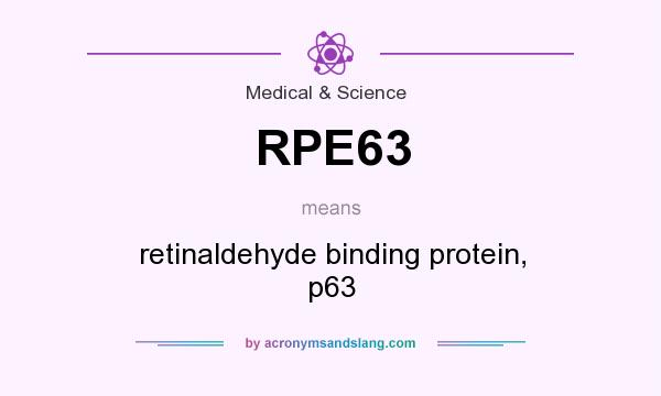 What does RPE63 mean? It stands for retinaldehyde binding protein, p63