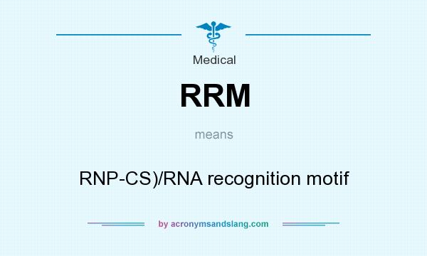 What does RRM mean? It stands for RNP-CS)/RNA recognition motif