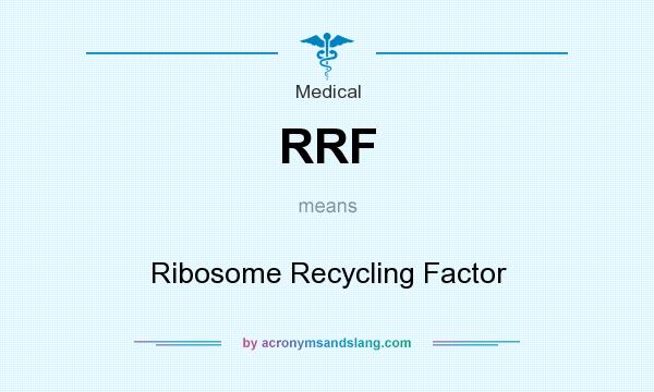 What does RRF mean? It stands for Ribosome Recycling Factor