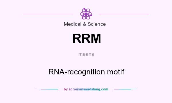 What does RRM mean? It stands for RNA-recognition motif