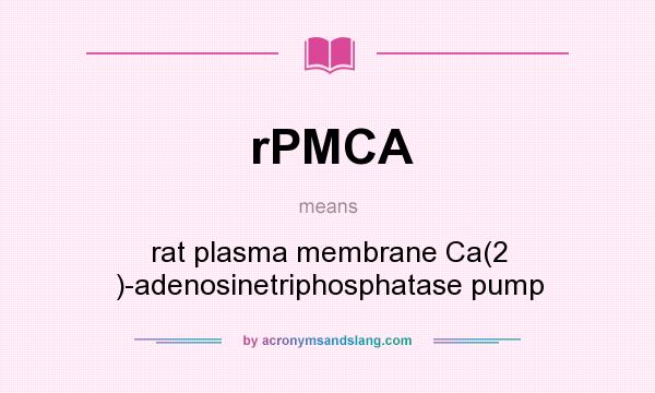 What does rPMCA mean? It stands for rat plasma membrane Ca(2 )-adenosinetriphosphatase pump