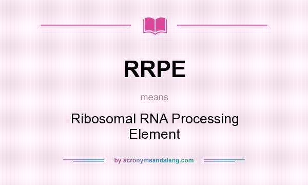 What does RRPE mean? It stands for Ribosomal RNA Processing Element