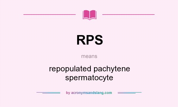 What does RPS mean? It stands for repopulated pachytene spermatocyte