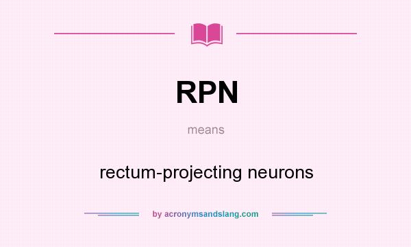 What does RPN mean? It stands for rectum-projecting neurons