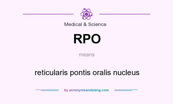 What does RPO mean? It stands for reticularis pontis oralis nucleus