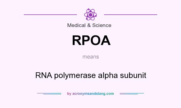 What does RPOA mean? It stands for RNA polymerase alpha subunit
