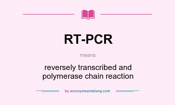 What does RT-PCR mean? It stands for reversely transcribed and polymerase chain reaction