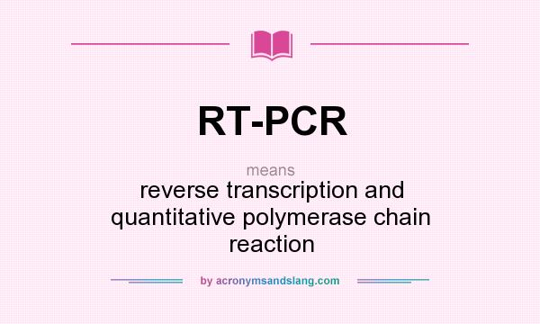 What does RT-PCR mean? It stands for reverse transcription and quantitative polymerase chain reaction