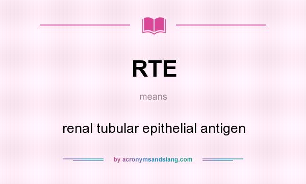 What does RTE mean? It stands for renal tubular epithelial antigen