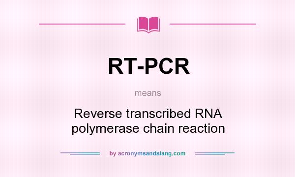 What does RT-PCR mean? It stands for Reverse transcribed RNA polymerase chain reaction
