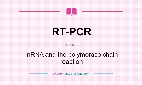 What does RT-PCR mean? It stands for mRNA and the polymerase chain reaction