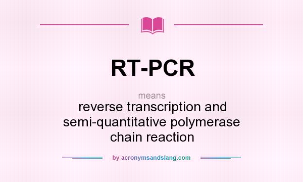 What does RT-PCR mean? It stands for reverse transcription and semi-quantitative polymerase chain reaction