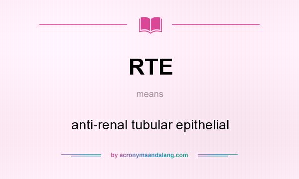 What does RTE mean? It stands for anti-renal tubular epithelial