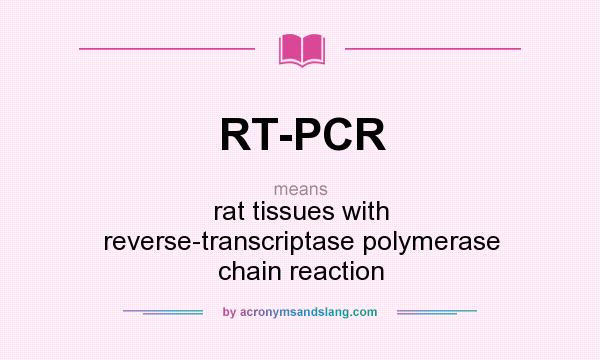 What does RT-PCR mean? It stands for rat tissues with reverse-transcriptase polymerase chain reaction