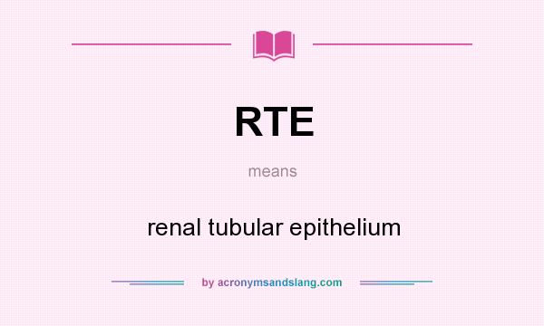 What does RTE mean? It stands for renal tubular epithelium