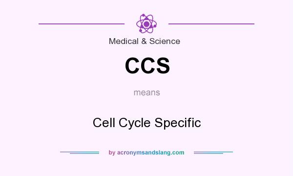 What does CCS mean? It stands for Cell Cycle Specific