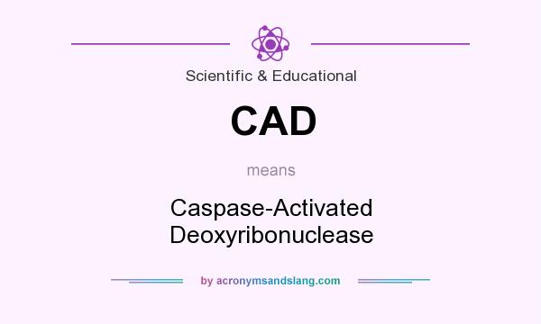 What does CAD mean? It stands for Caspase-Activated Deoxyribonuclease