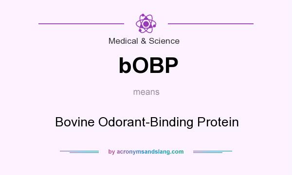 What does bOBP mean? It stands for Bovine Odorant-Binding Protein