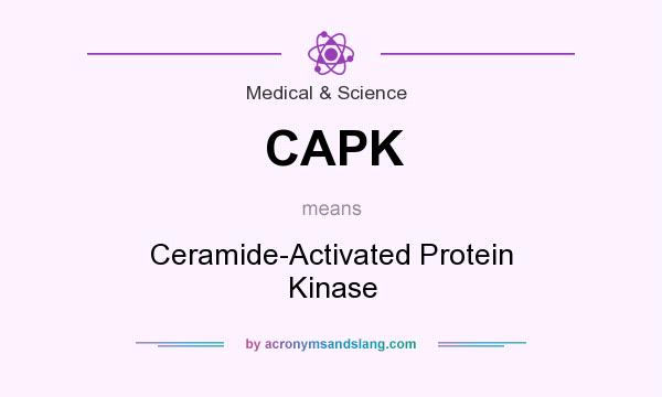 What does CAPK mean? It stands for Ceramide-Activated Protein Kinase