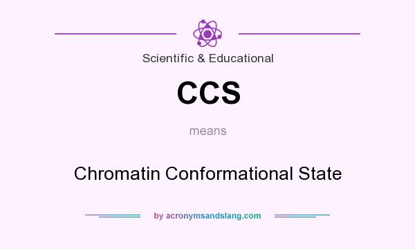What does CCS mean? It stands for Chromatin Conformational State