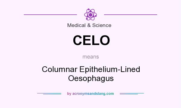 What does CELO mean? It stands for Columnar Epithelium-Lined Oesophagus