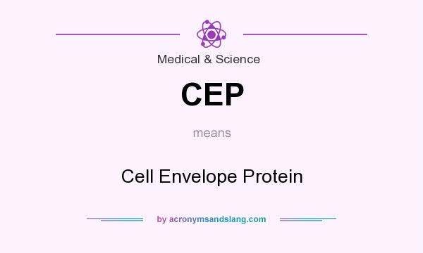 What does CEP mean? It stands for Cell Envelope Protein