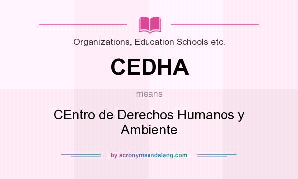 What does CEDHA mean? It stands for CEntro de Derechos Humanos y Ambiente